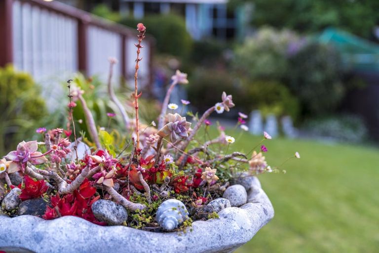 Photo of property in 20 Muscat Place, Henderson, Auckland, 0612