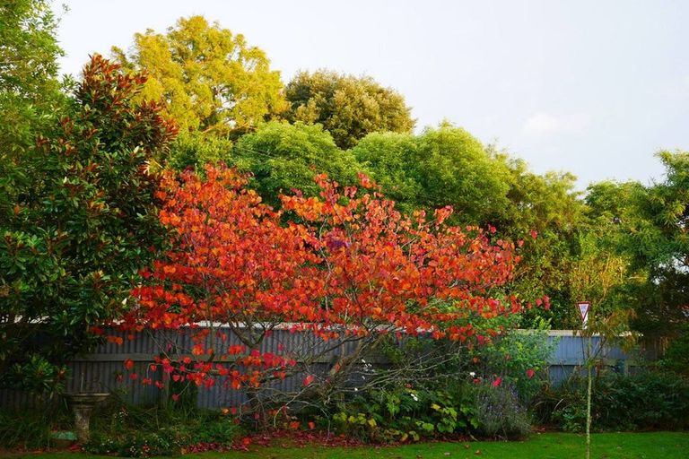 Photo of property in 21 Signal Street, Marton, 4710