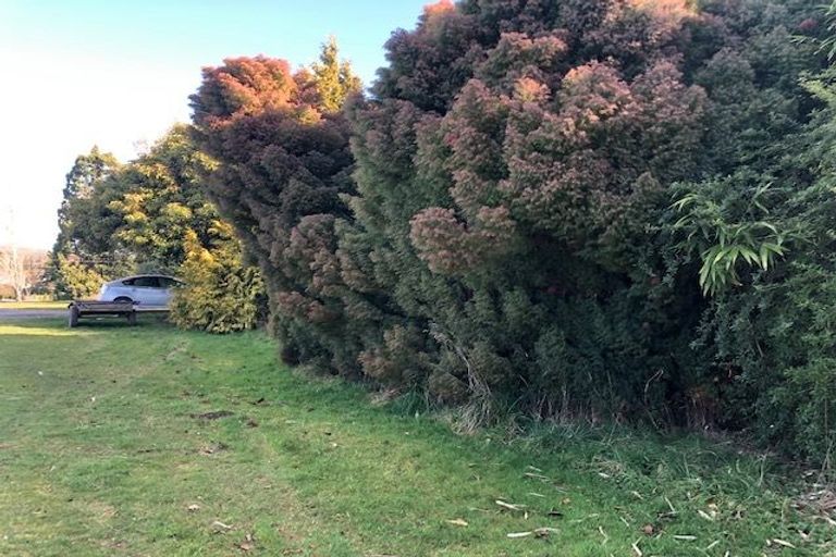 Photo of property in 48 Meadow Street, Lumsden, 9730