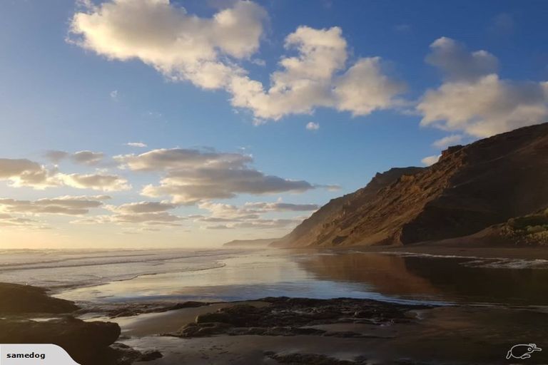 Photo of property in 2940 Awhitu Road, Awhitu, Waiuku, 2684