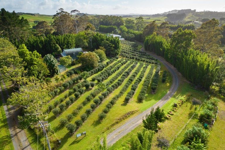 Photo of property in 70 Pukeko Lane, Kerikeri, 0294