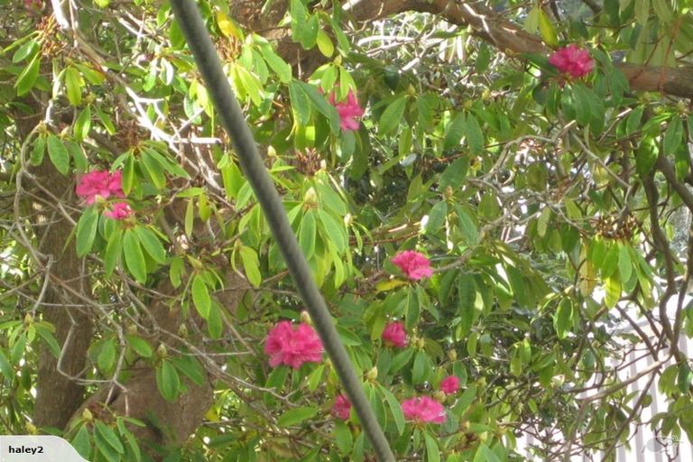 Photo of property in 9 Owen Street, Newtown, Wellington, 6021