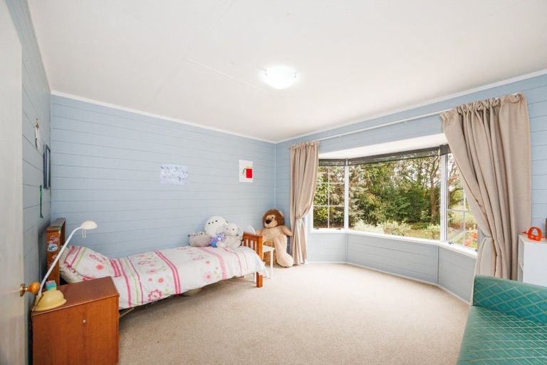 Photo of property in 232 Nannestads Line, Bunnythorpe, Feilding, 4775