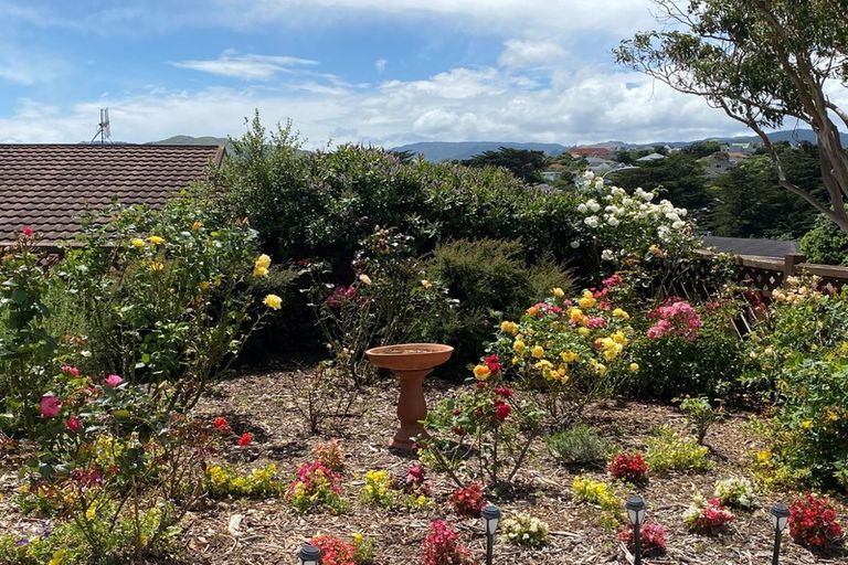 Photo of property in 10 James Cook Drive, Whitby, Porirua, 5024