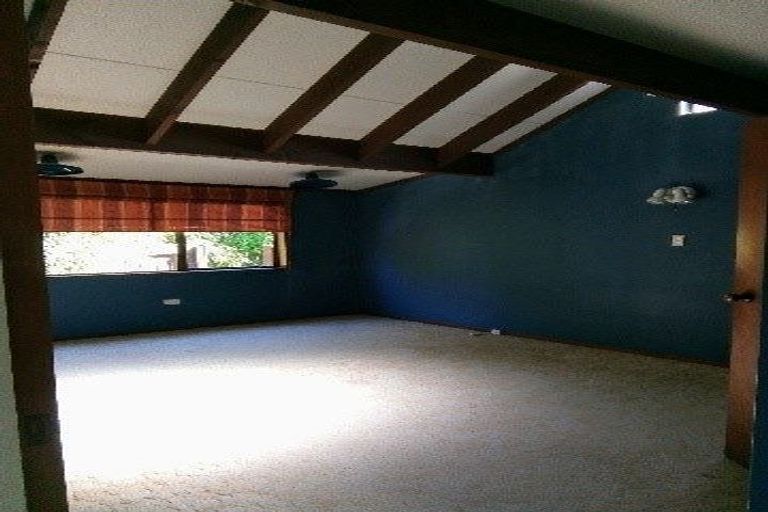 Photo of property in 902a Lyell Street, Akina, Hastings, 4122