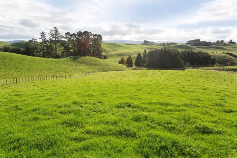 Photo of property in 116 Adelaide Road, Dannevirke, 4930