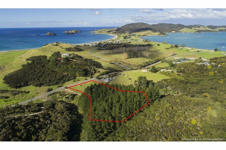 Photo of property in 654 Whangaruru Road North, Whangaruru, Russell, 0184