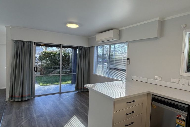 Photo of property in 231b Grey Street, Hamilton East, Hamilton, 3216