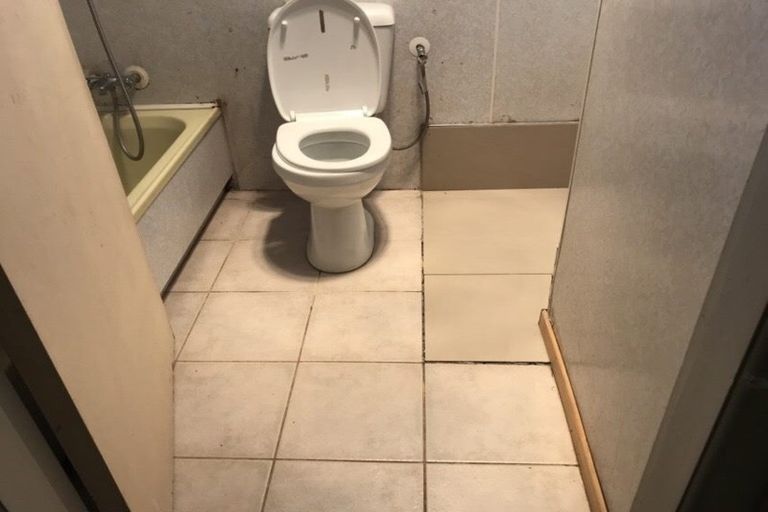 Photo of property in 22 Claude Avenue, Papatoetoe, Auckland, 2025