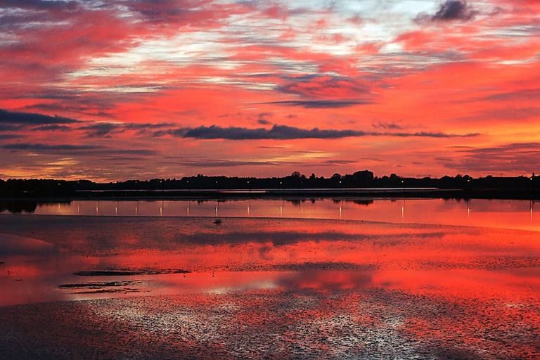 Photo of property in 118 College Place, Poike, Tauranga, 3112