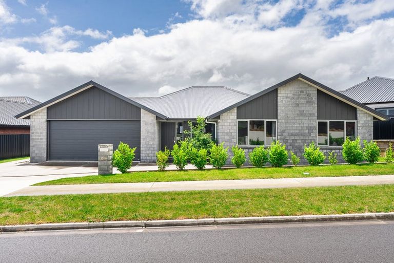 Photo of property in 241 Page Crescent, Te Awamutu, 3800