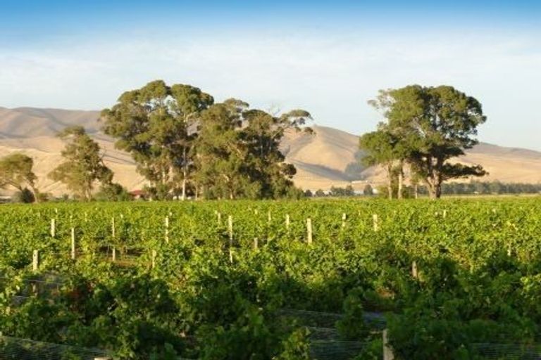 Photo of property in 23 Hardings Road, Riverlands, 7274