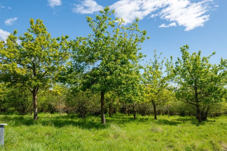 Photo of property in 64 Littles Drive, Waikari, 7420