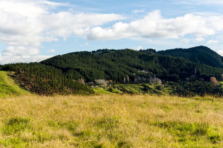 Photo of property in 276 Gaddums Hill Road, Outer Kaiti, Gisborne, 4010