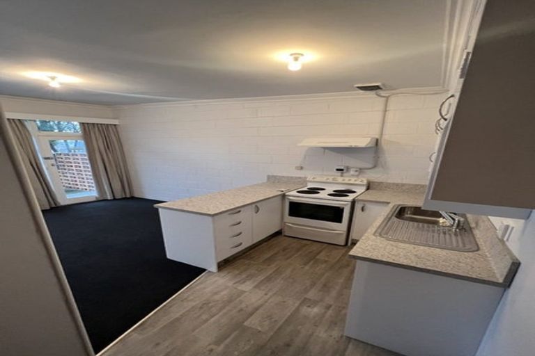 Photo of property in 19 Devon Street, Levin, 5510