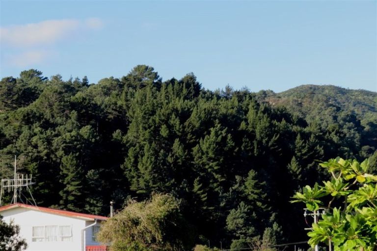 Photo of property in 403a Ensor Street, Thames, 3500