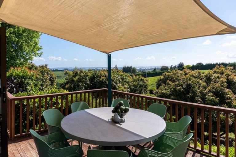 Photo of property in 313 Youngson Road, Whakamarama, Tauranga, 3179