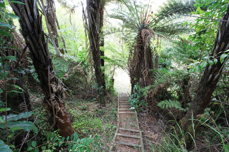 Photo of property in 14 Cambrae Road, Raglan, 3225