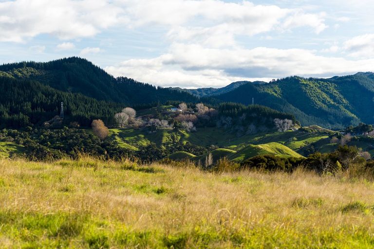 Photo of property in 276 Gaddums Hill Road, Outer Kaiti, Gisborne, 4010