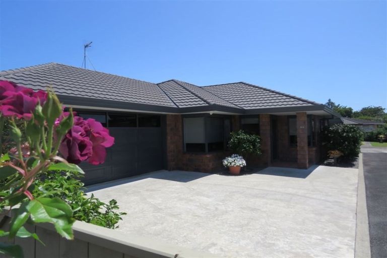 Photo of property in 63a Winchester Street, Levin, 5510