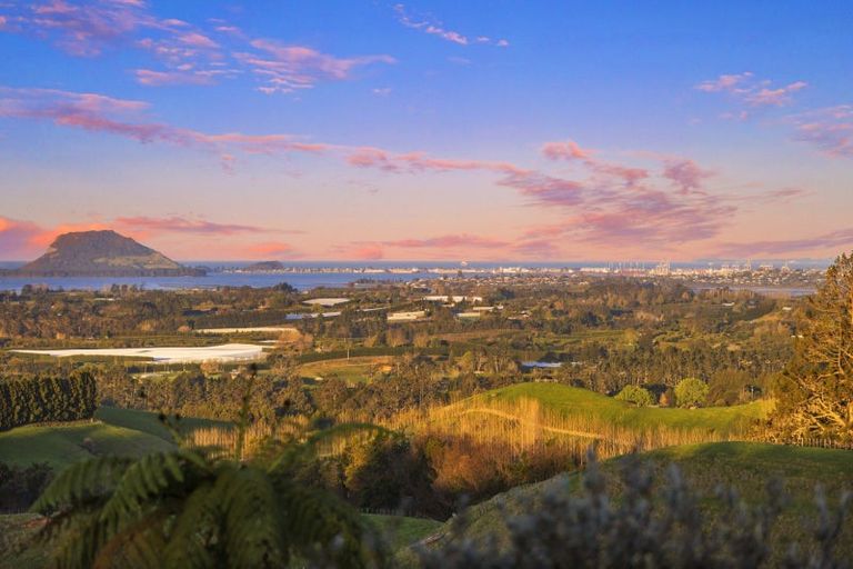 Photo of property in 252 Whakamarama Road, Whakamarama, Tauranga, 3179