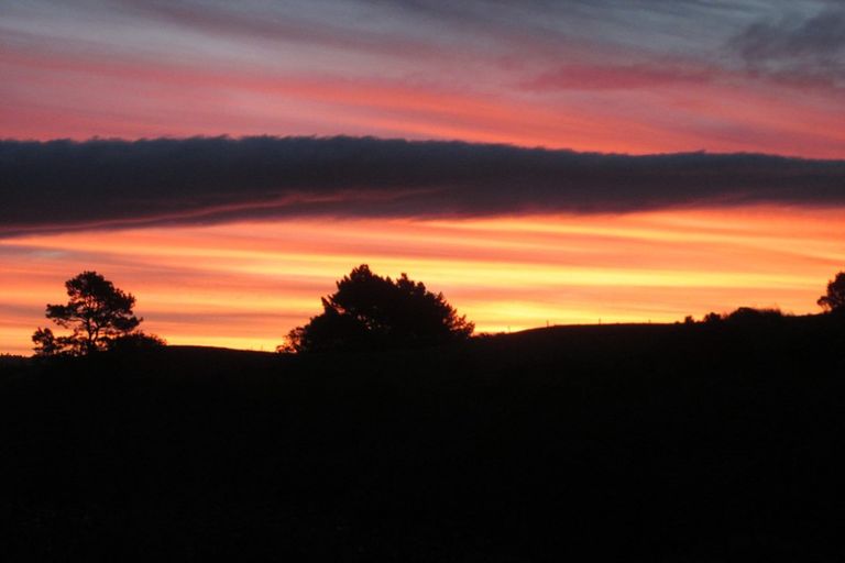 Photo of property in 469e Minden Road, Minden, Tauranga, 3176