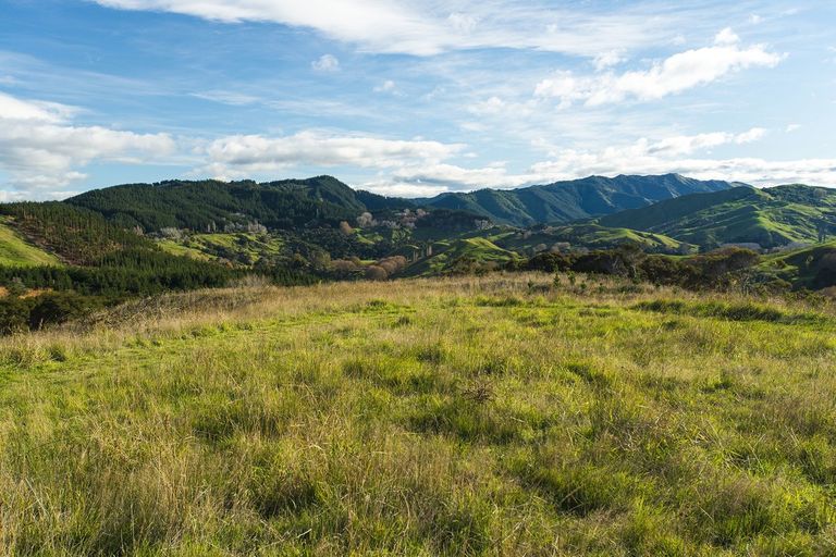 Photo of property in 276 Gaddums Hill Road, Outer Kaiti, Gisborne, 4010