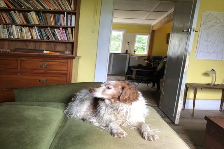 Photo of property in 624 Kyeburn-hyde Road, Kokonga, Ranfurly, 9397