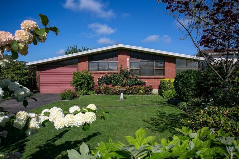 Photo of property in 28 Tawari Street, Matamata, 3400