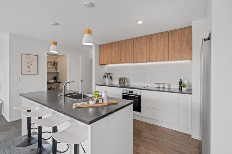 Photo of property in 87 Edward Street, Lincoln, 7608