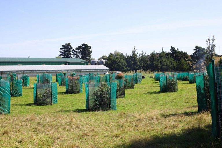 Photo of property in 40 Francis Road, Westmere, Whanganui, 4574