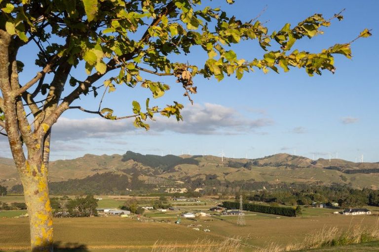 Photo of property in 53 Memory Lane, Ashhurst, 4470