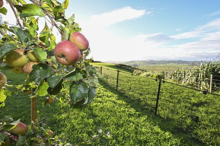 Photo of property in 71 Paritu Road, Maraekakaho, Hastings, 4171