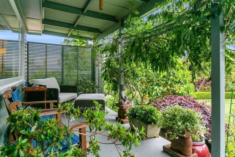 Photo of property in 11 Keats Terrace, Leamington, Cambridge, 3432