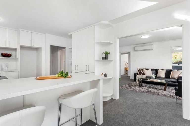 Photo of property in 101 Harris Crescent, Papanui, Christchurch, 8053