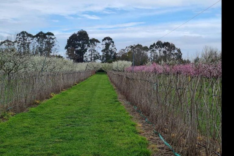 Photo of property in 1520 Tram Road, Swannanoa, Rangiora, 7475