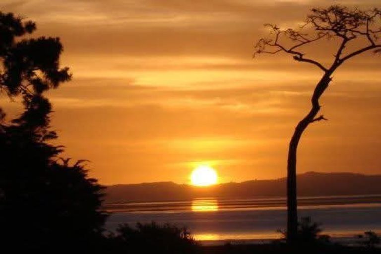 Photo of property in 14 Harobed Place, Weymouth, Auckland, 2103