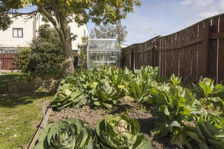 Photo of property in 16 Dunsinane Place, Marton, 4710