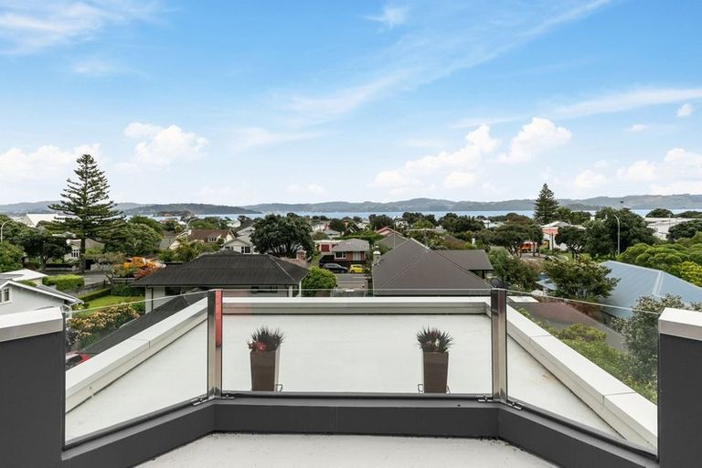 Photo of property in 203 Muritai Road, Eastbourne, Lower Hutt, 5013