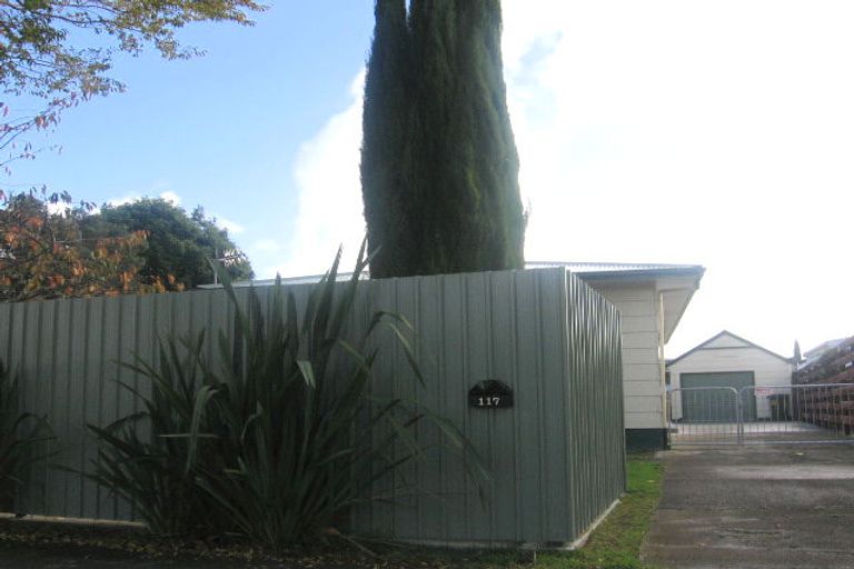 Photo of property in 117 Tremaine Avenue, Westbrook, Palmerston North, 4412