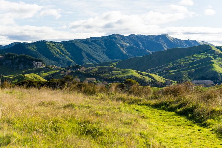 Photo of property in 276 Gaddums Hill Road, Outer Kaiti, Gisborne, 4010