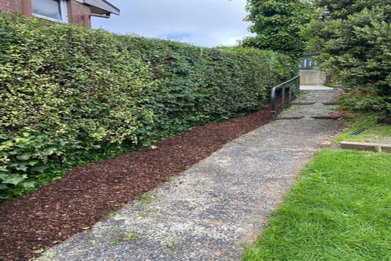 Photo of property in 3 Erin Street, Roslyn, Dunedin, 9010