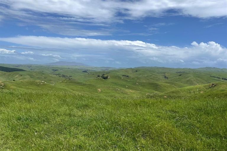 Photo of property in 429 Te Akau South Road, Te Akau, Ngaruawahia, 3793