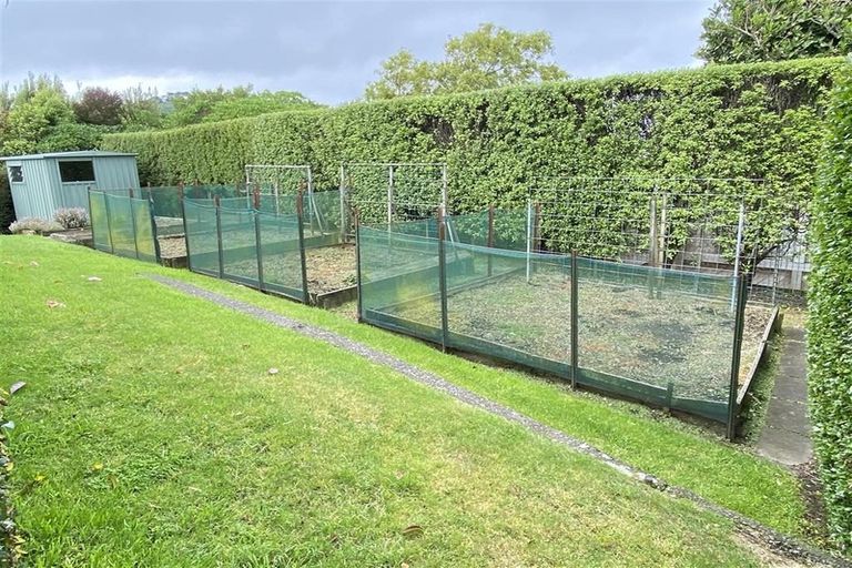 Photo of property in 29 Putnam Street, Northland, Wellington, 6012