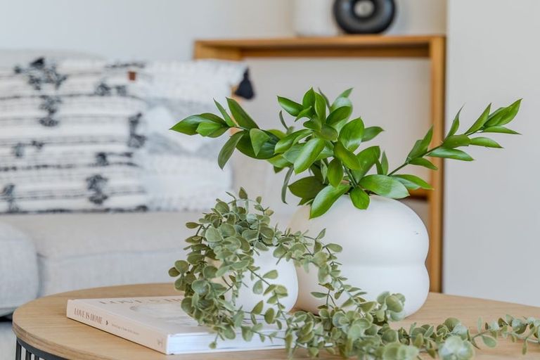 Photo of property in 14 Seaview Terrace, Kew, Dunedin, 9012