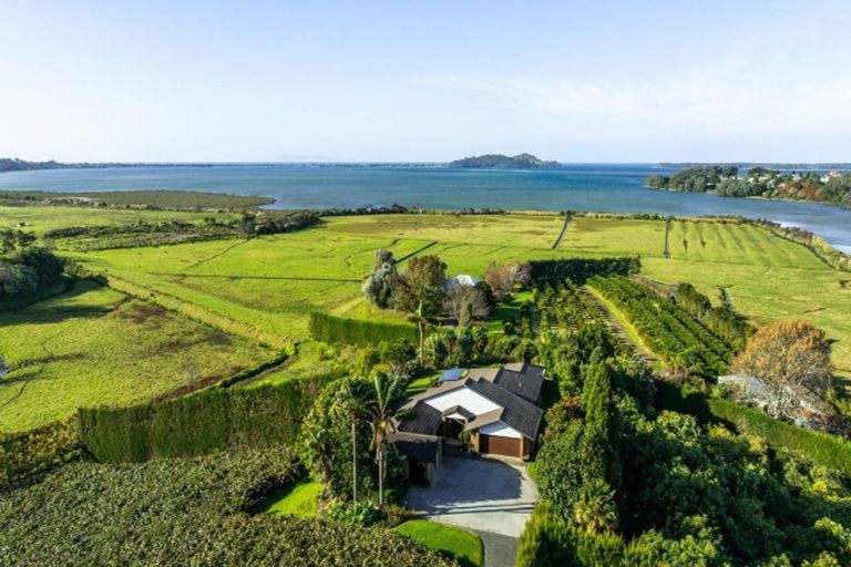 Photo of property in 910 State Highway 2, Tanners Point, Katikati, 3177