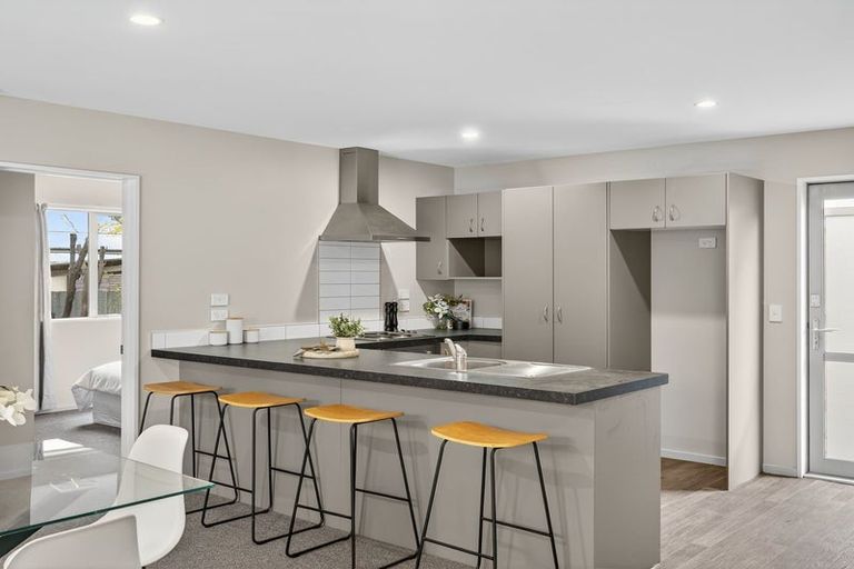 Photo of property in 117a Ruskin Street, Addington, Christchurch, 8024