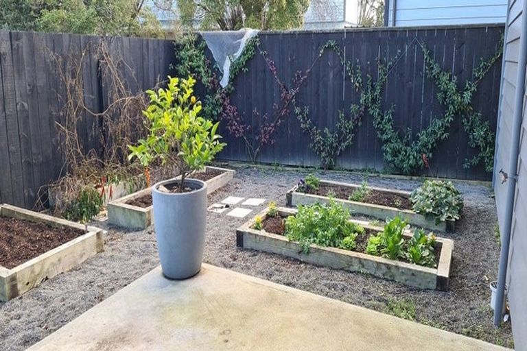 Photo of property in 8a Michael Street, Kuripuni, Masterton, 5810