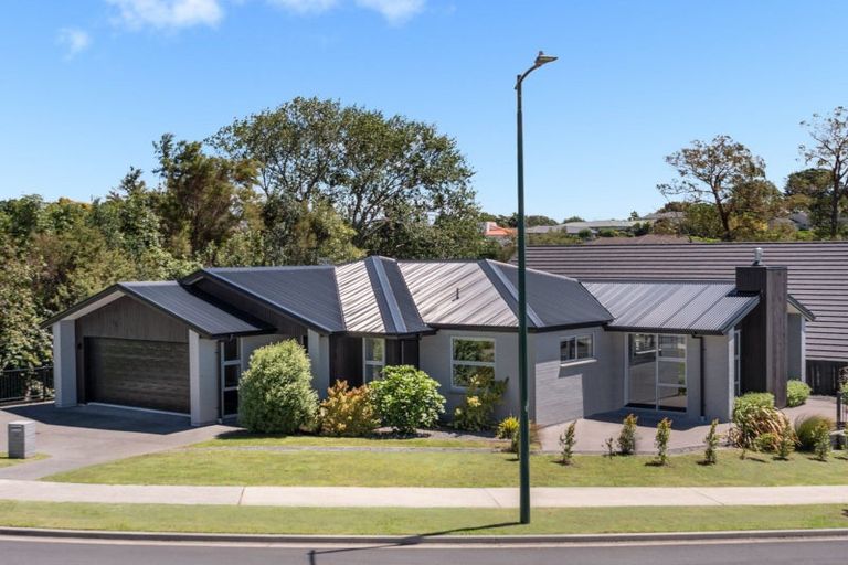 Photo of property in 77 Adler Drive, Ohauiti, Tauranga, 3112