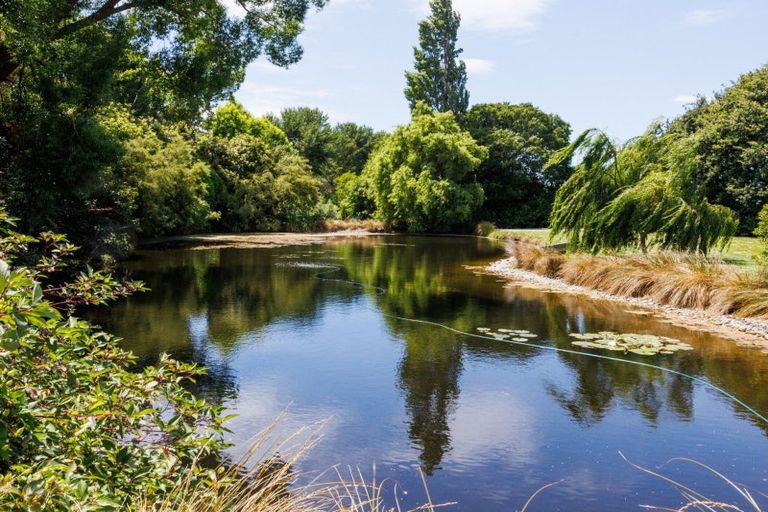 Photo of property in 291 Napier Road, Kelvin Grove, Palmerston North, 4470